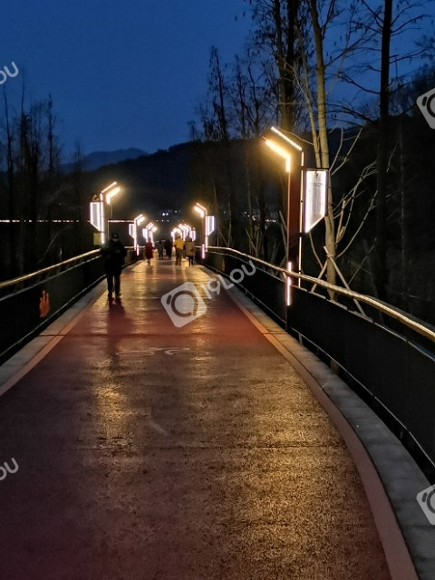 钱锦大道钱王大桥青山湖绿道的夜景