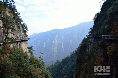 臨安西天目山旅遊攻略門票地址景點介紹