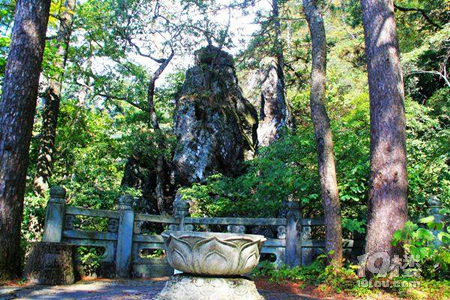 临安天目山倒挂莲花峰旅游攻略门票地址交通指南