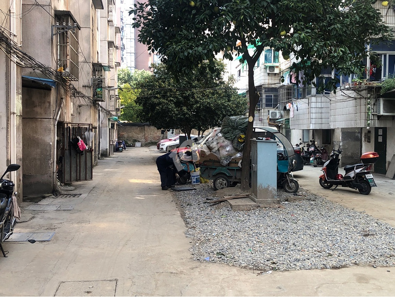 小区脏乱差毒瘤城管公安都无奈