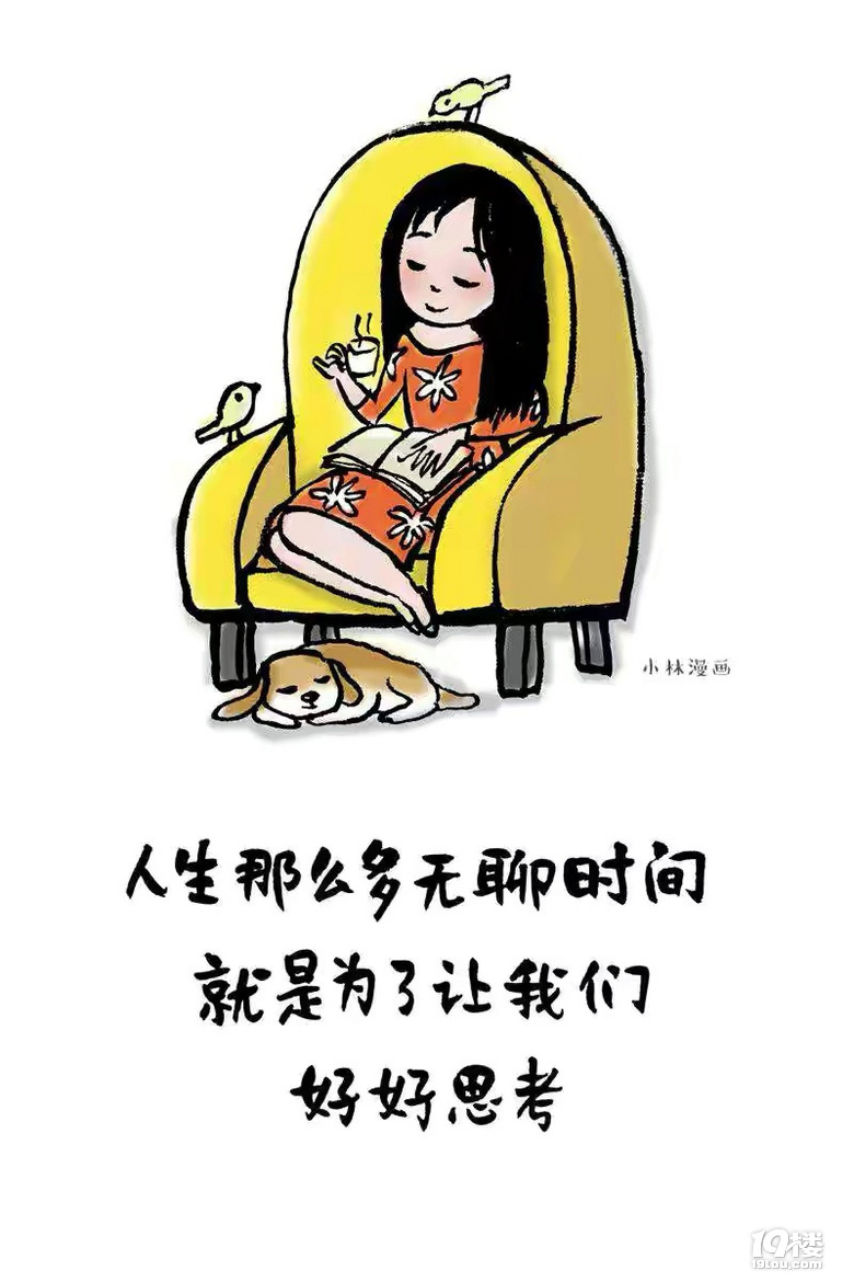 不平凡的一年必将成就不平凡的你