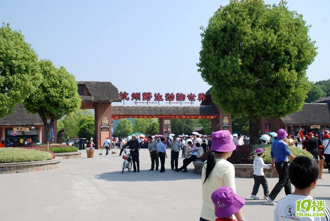 杭州野生動物園遊記推薦