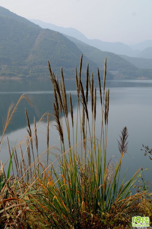 水涛庄水库探秋