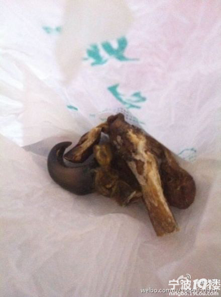 海曙新高路新疆人强卖虎骨头给我爸结果抢走