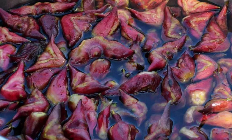 狂降8℃!宁波周末最高温只有25℃!今天白露,接