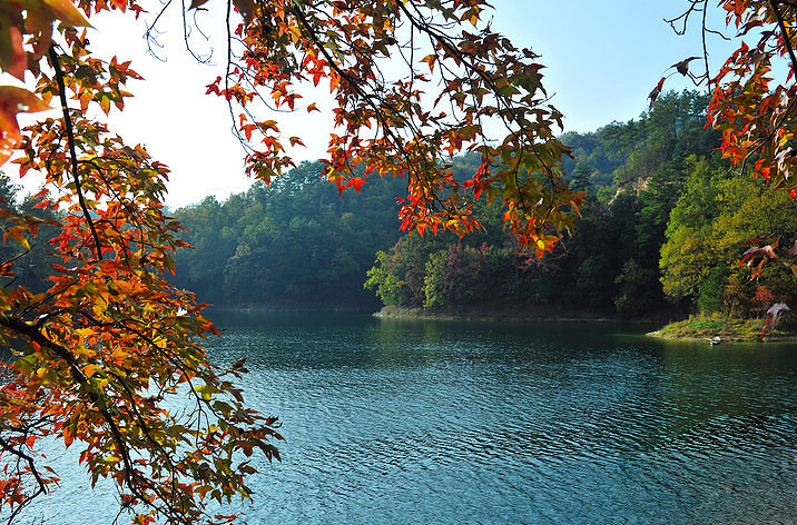 千岛湖的红叶湾太美了一叶轻舟 晒行迹 衢州旅游 衢州19楼