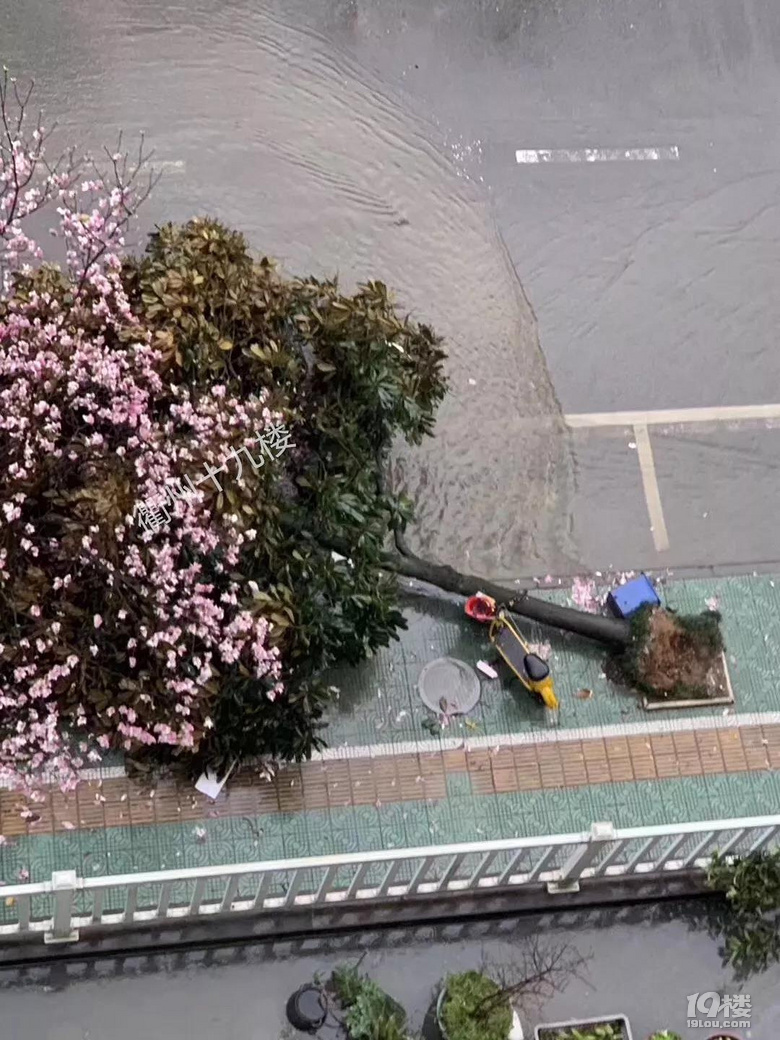 1死3伤!今早衢州一凉亭因刮风下雨倒塌,4人在此避雨被压