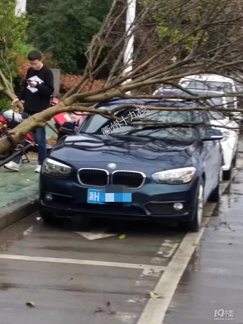 1死3伤!今早衢州一凉亭因刮风下雨倒塌,4人在此避雨被压