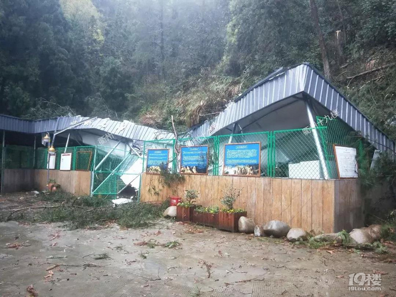 1死3伤!今早衢州一凉亭因刮风下雨倒塌,4人在此避雨被压