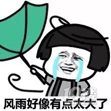 1死3伤!今早衢州一凉亭因刮风下雨倒塌,4人在此避雨被压