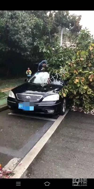 1死3伤!今早衢州一凉亭因刮风下雨倒塌,4人在此避雨被压