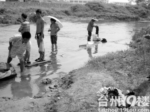 临海 姐姐带一群弟妹去摸鱼被冲走