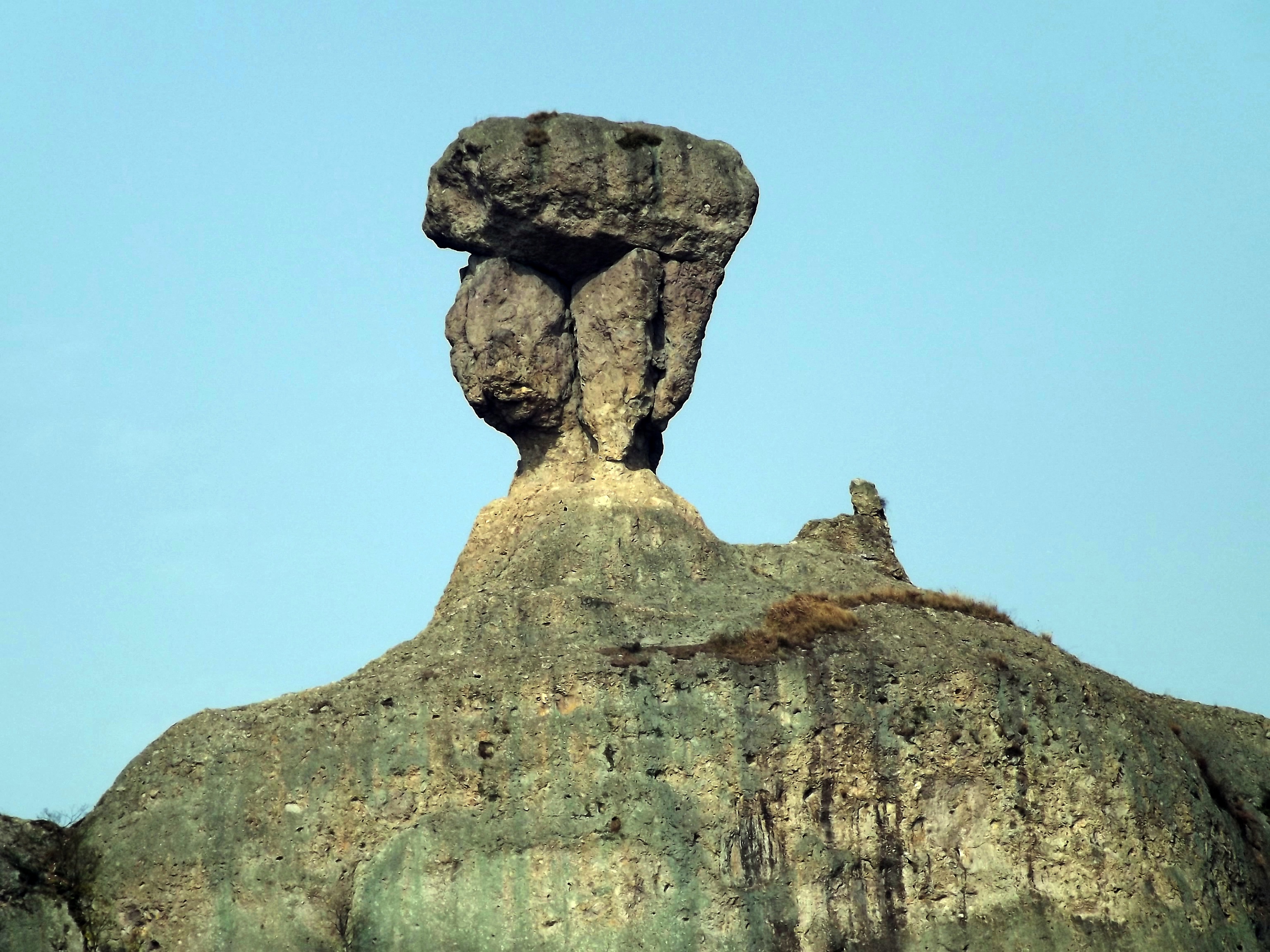 温岭石夫人画图片