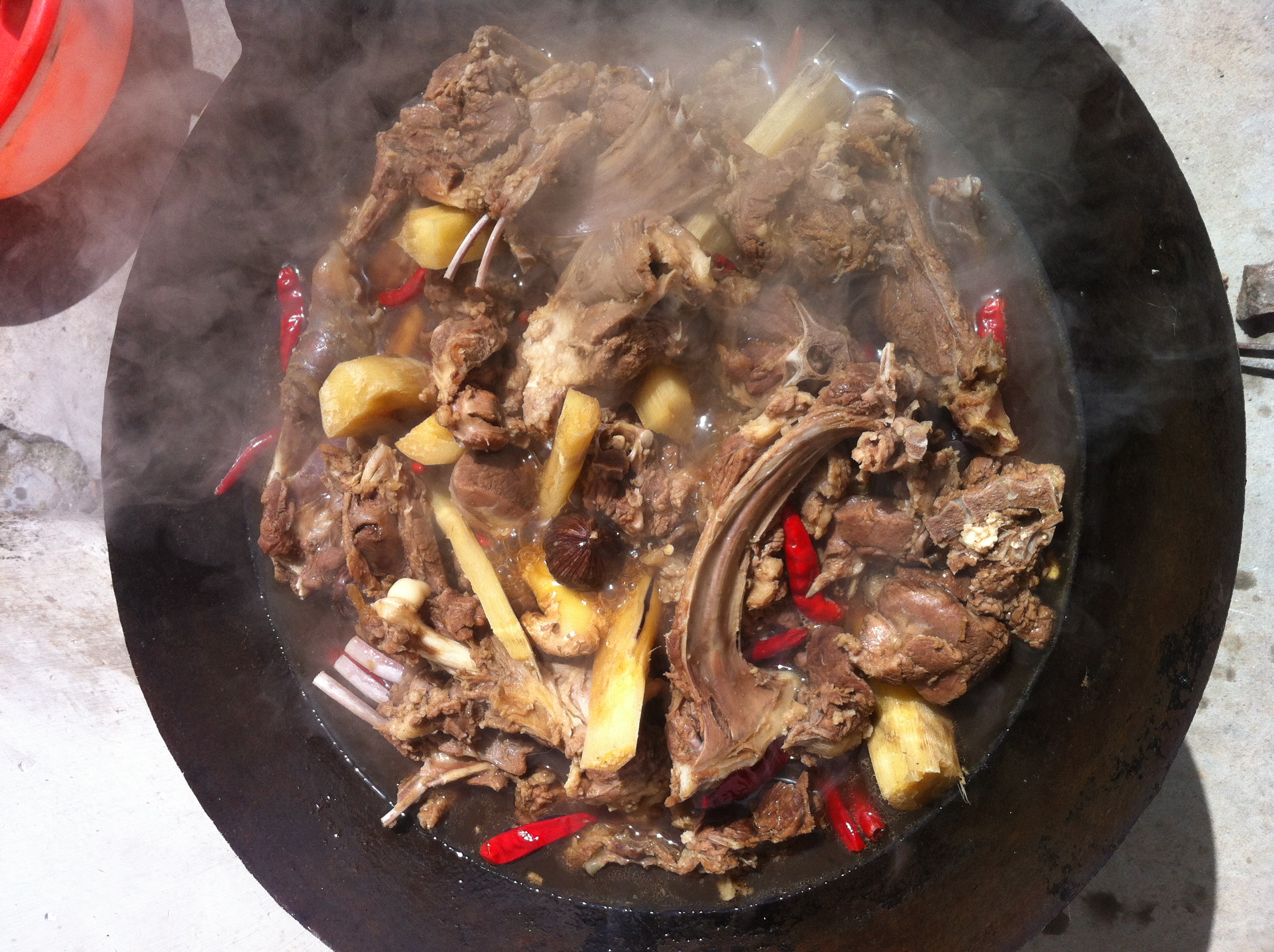 闲来无事烹狗肉加图啦