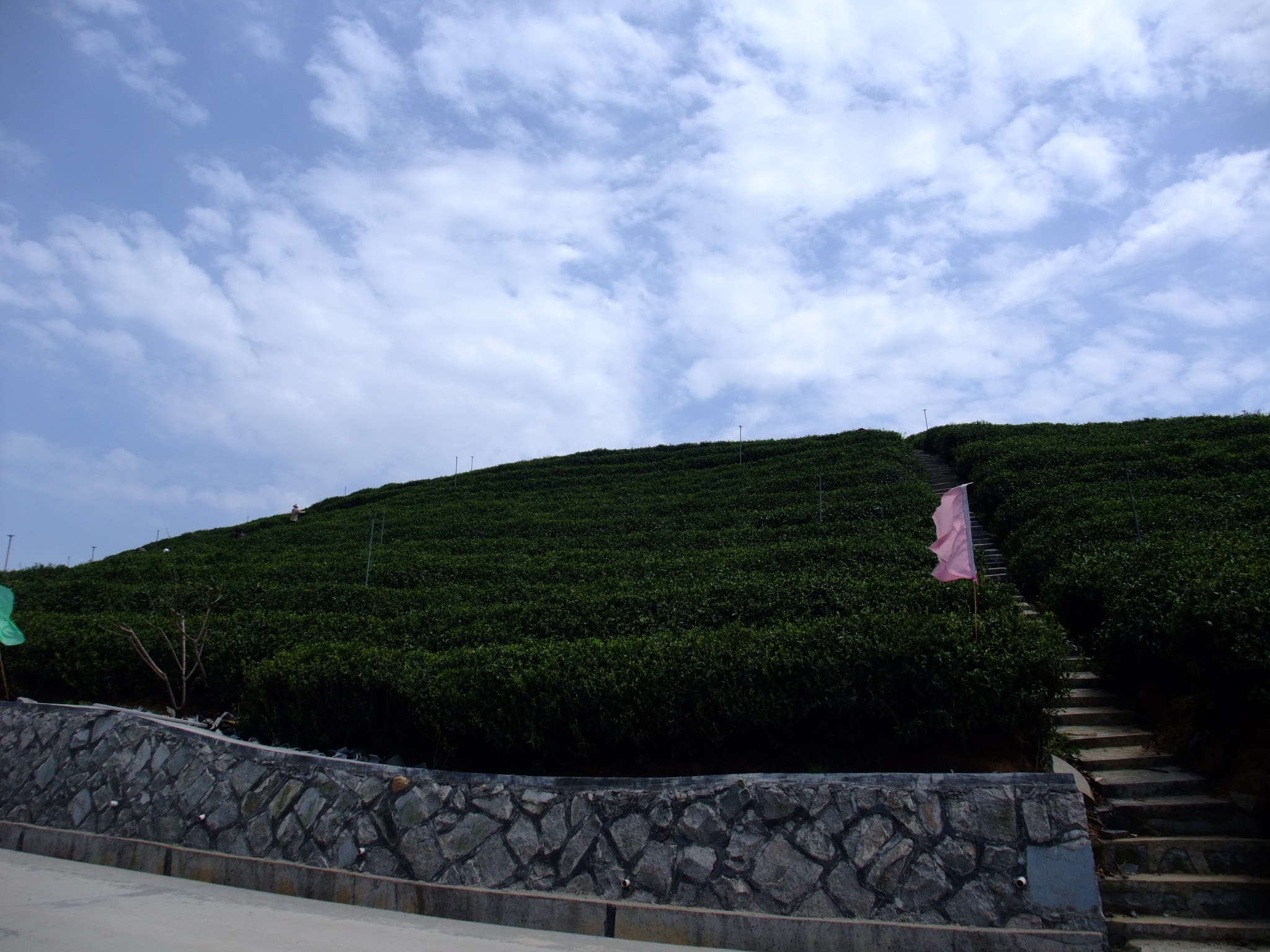 羊岩山-游记攻略-台州旅游-台州19楼