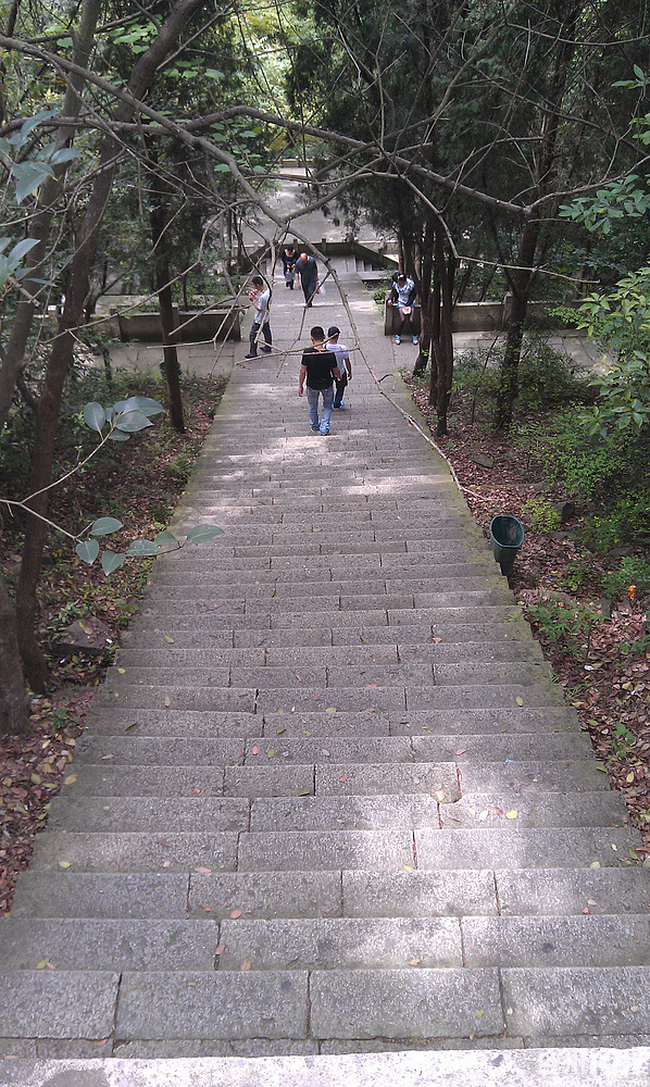 兒時的春遊——黃岩九峰公園-遊記攻略-台州旅遊-台州19樓