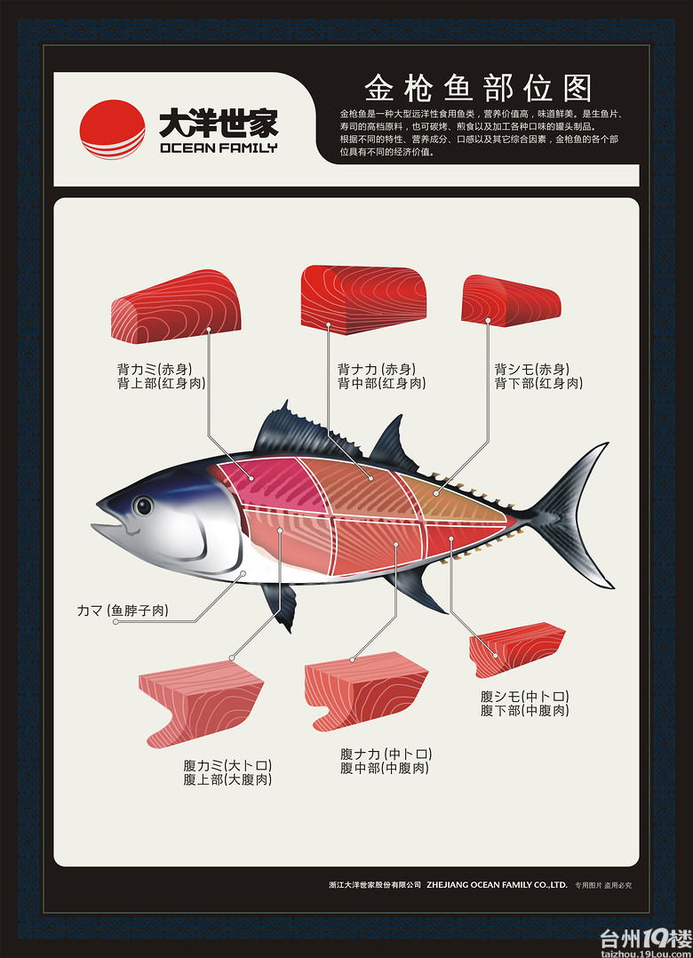 金枪鱼的部位