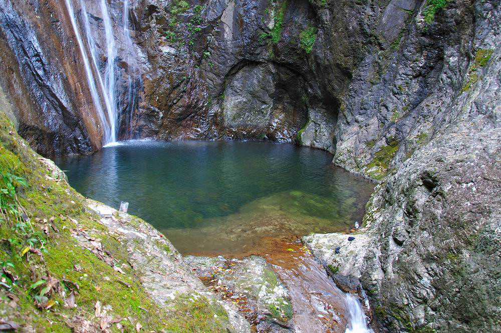 游仙居淡竹原始森林