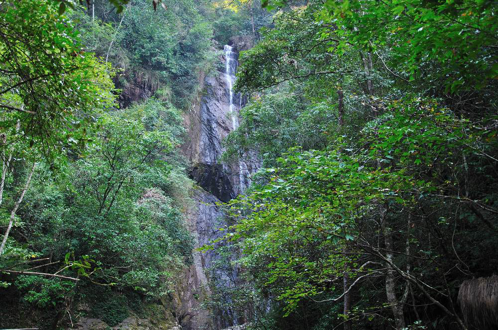 游仙居淡竹原始森林-游记攻略-台州旅游-台州19楼