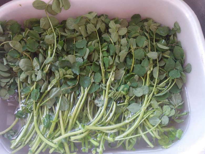 吃货在台州花草炒年糕