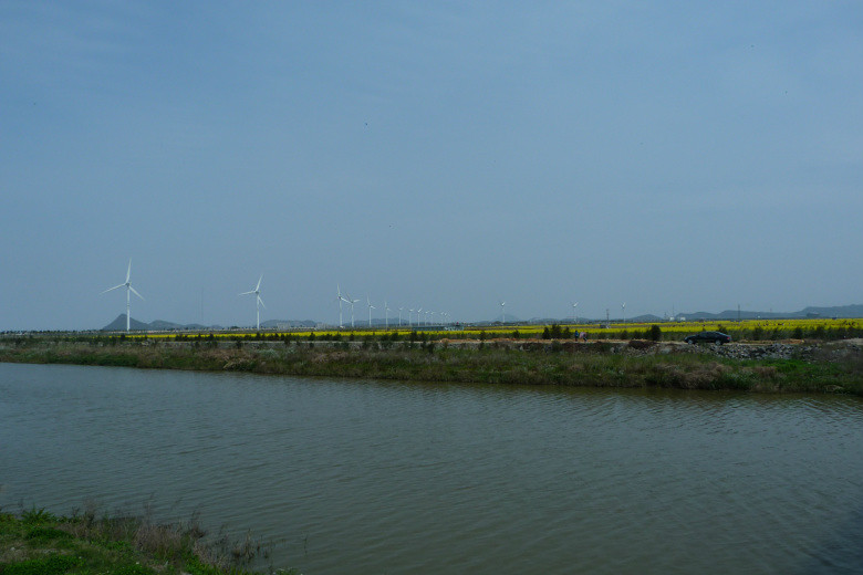 温岭东海塘感受春暖花开的季节-游记攻略-台州旅游-台州19楼