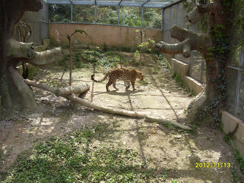 寧波雅戈爾動物園