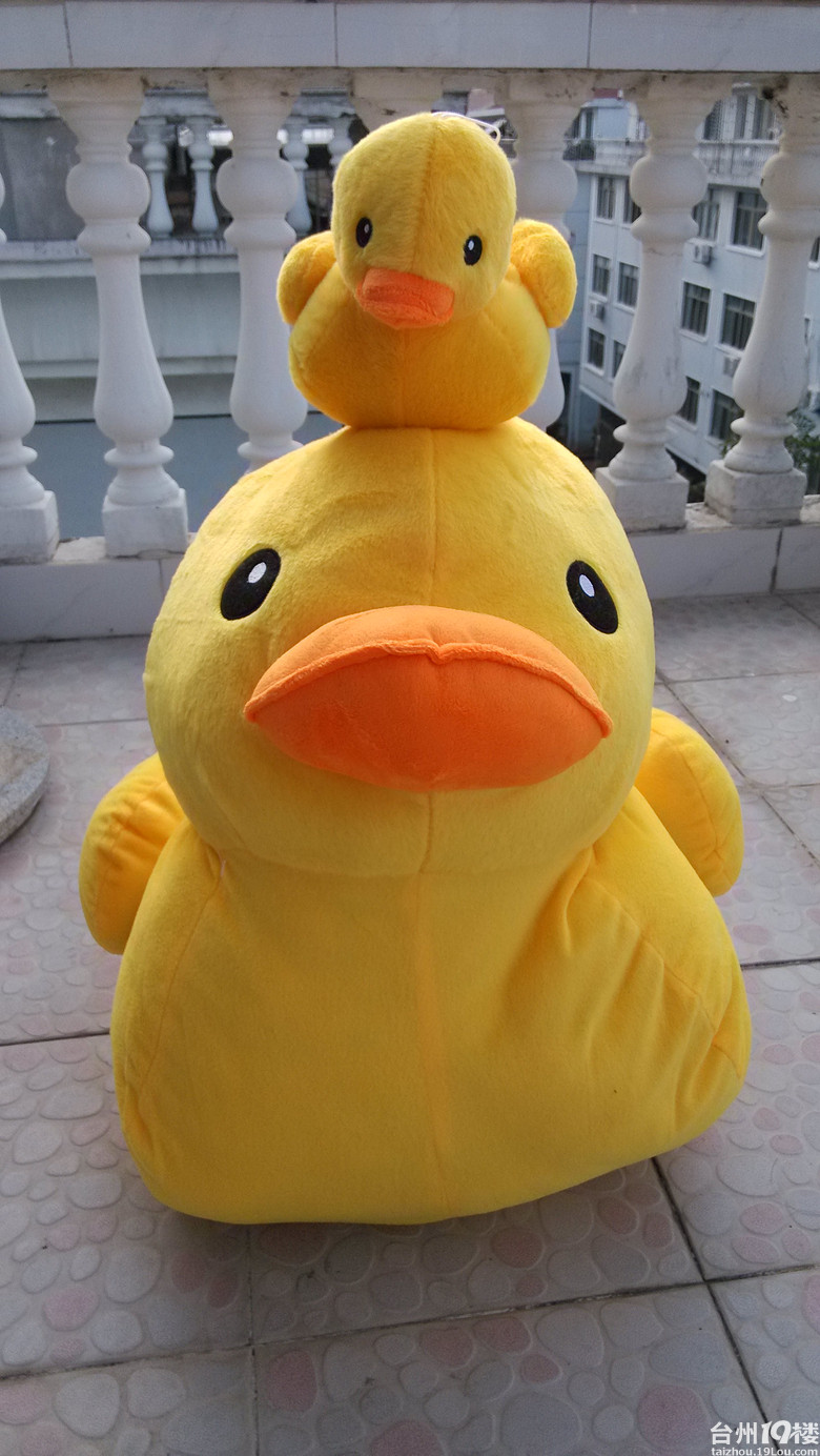 大小黄鸭欣喜收入囊中喽