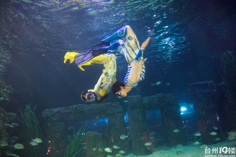 教师节温馨提示:别忘了,给您的老师打个电话!