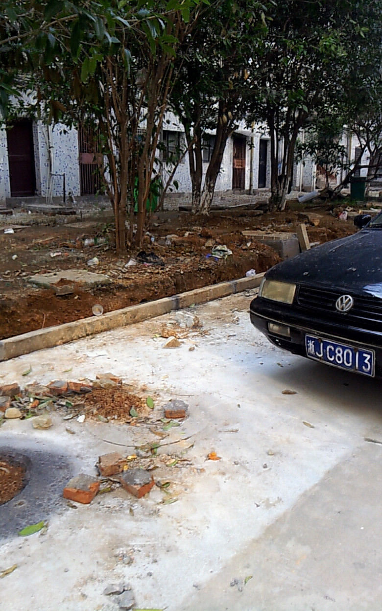 谁来救救温岭东辉小区的绿化啊