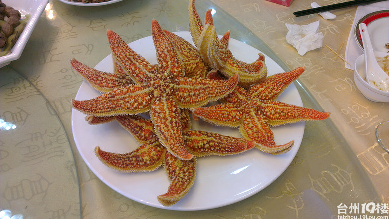 椒江哪里有好的海胆和海星吃?