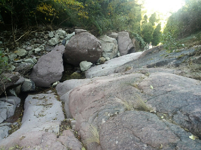 重游莲尖坪