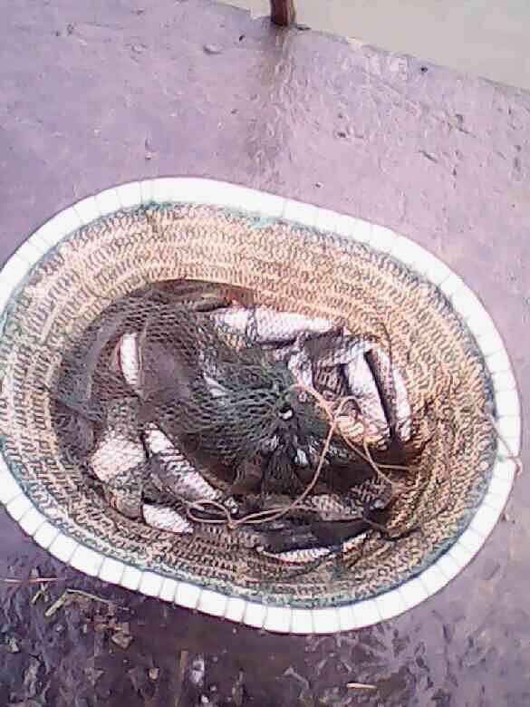 哦哈哈鱼哦-台州美食-台州19楼