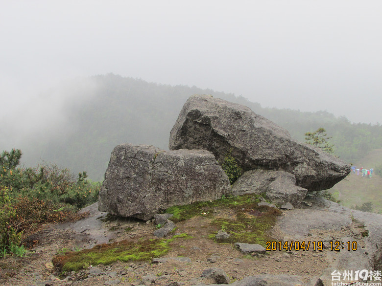 風雨大雷山環行賞杜鵑