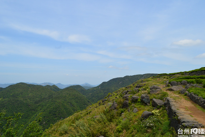 临海涌泉兰田