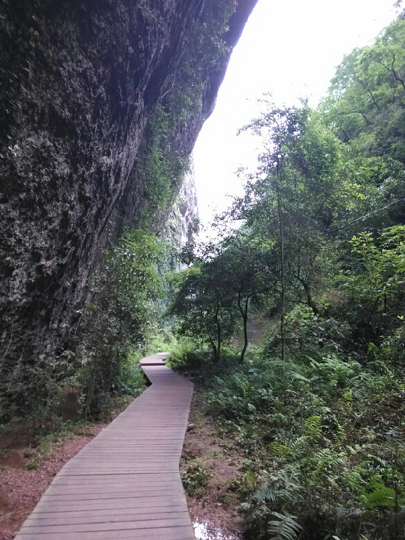 泰寧寨下大峽谷