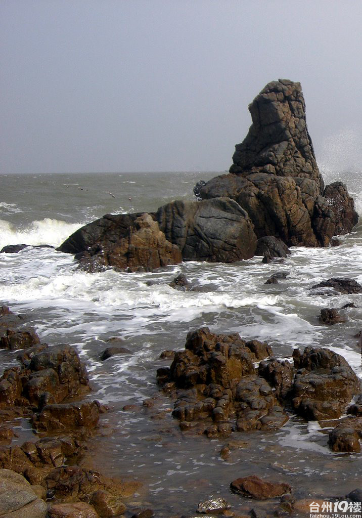 (休闲户外)7月5,6日温州洞头捕鱼 金沙滩露营二日游最后报名中