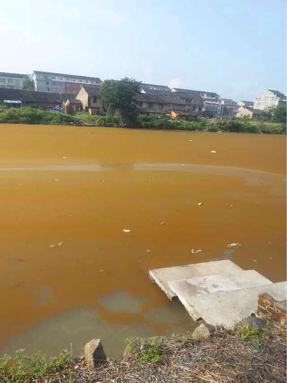 我的母亲河黄岩院桥横泾河您咋变这样了