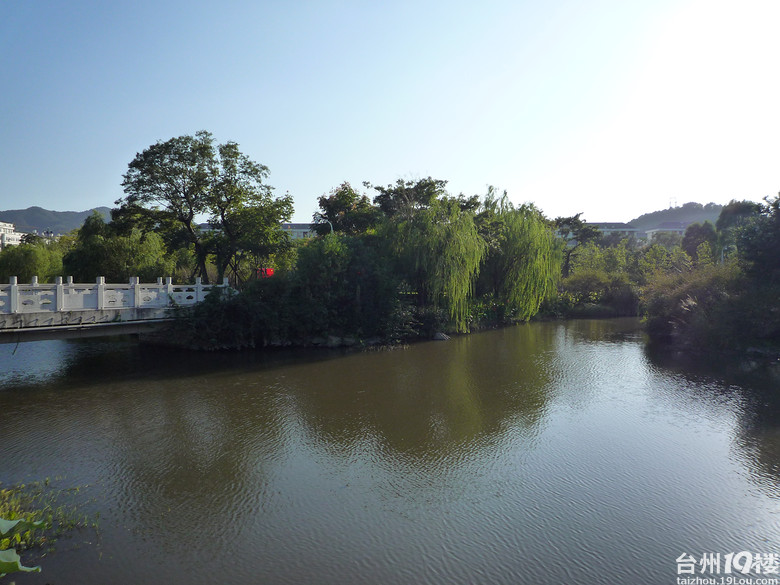 路橋中央山公園景色