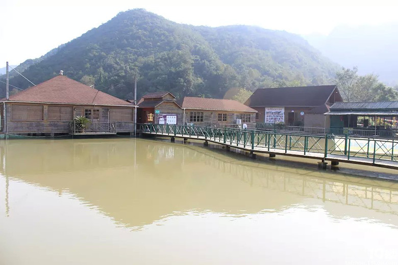 小芝碧水湾红树林