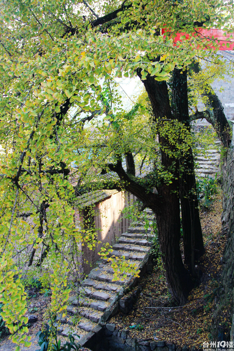 磐安白云山村
