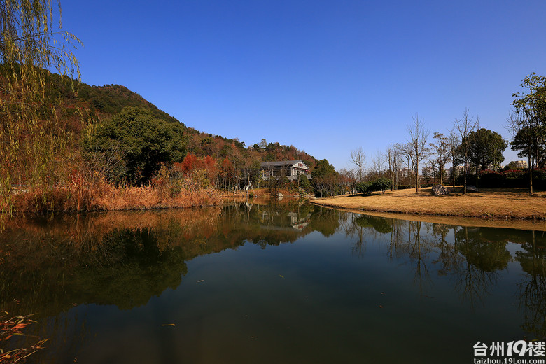 中央山公园秋色诱人