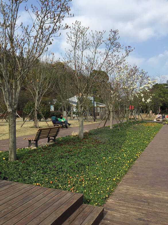 天氣不錯到路橋中央山公園逛逛-活動-台州汽車-台州19樓