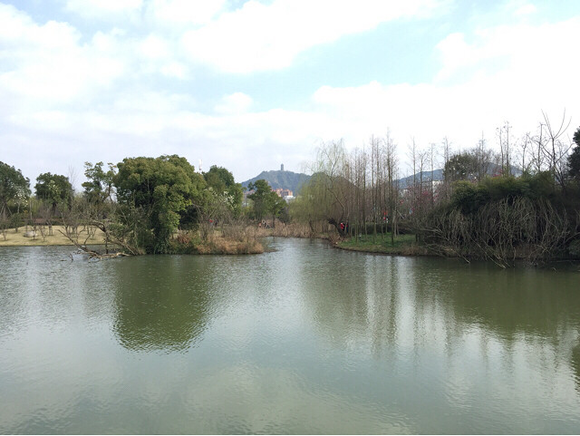 天氣不錯到路橋中央山公園逛逛