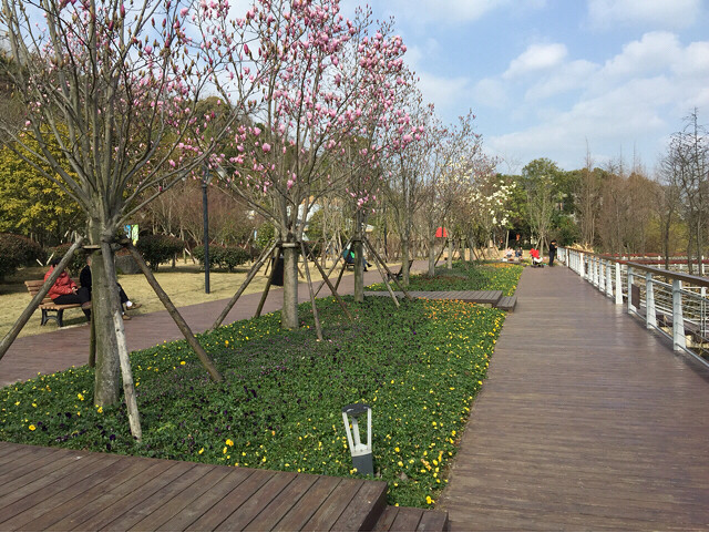 天氣不錯到路橋中央山公園逛逛