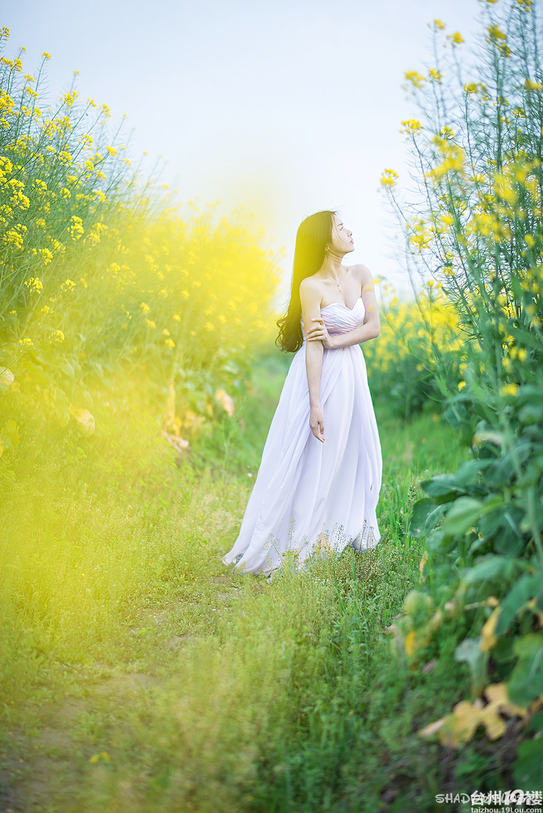 不是闲花野草流-我拍我秀-摄影部落-台州19楼