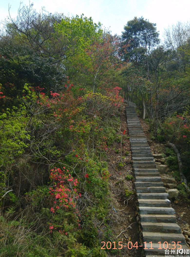 玉环大雷山风景名胜区图片