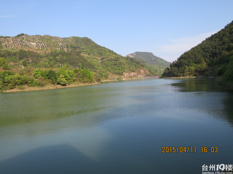 春暖花开的时节再次走进百花盛开的大雷山防火带