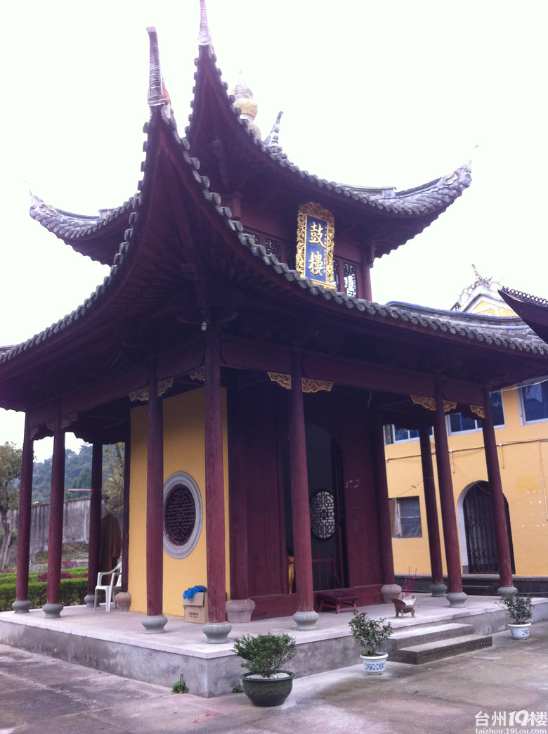 【晒游记】 椒江常乐寺油菜花-活动-台州旅游-台州19楼