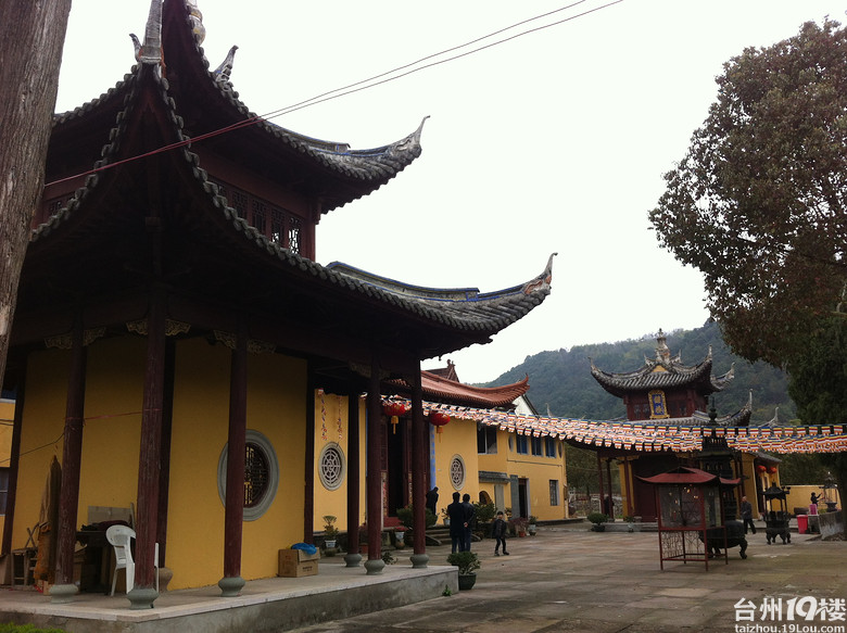 【晒游记】 椒江常乐寺油菜花-活动-台州旅游-台州19楼