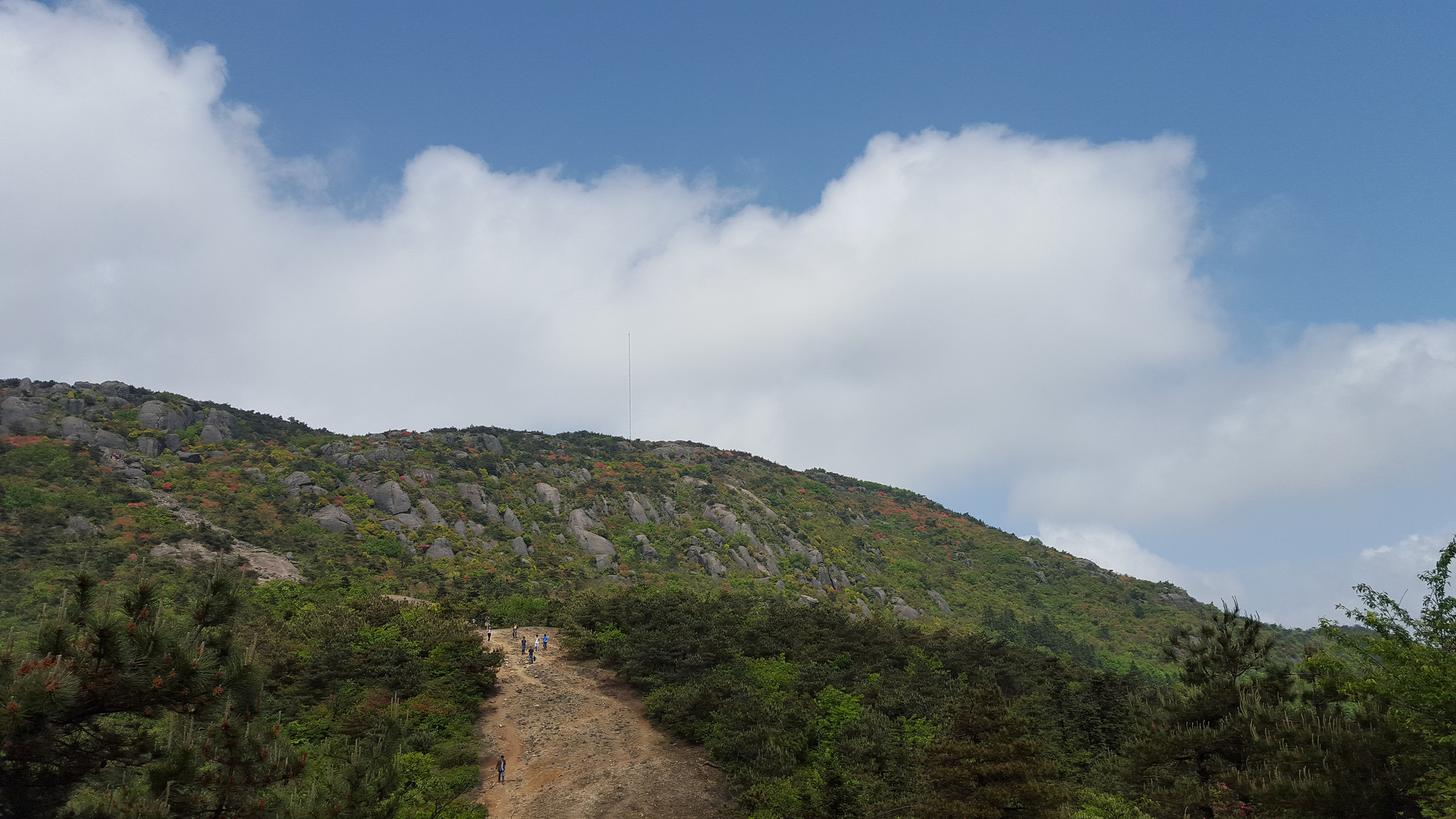 再上大雷山别样的风情